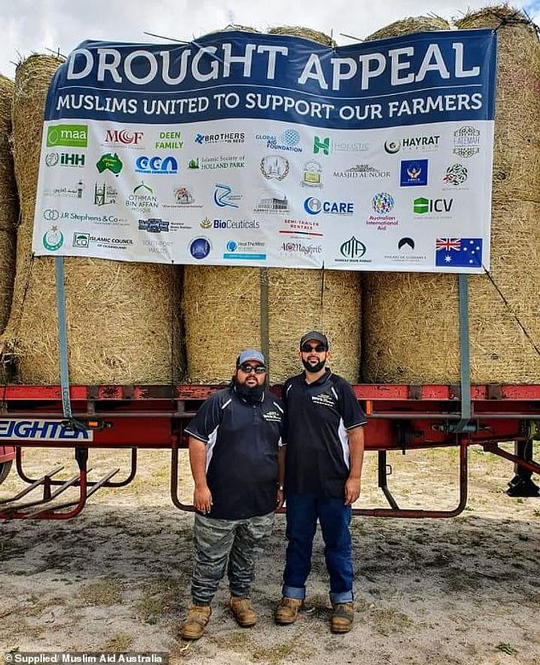 الحيوانات تموت من الجوع والعطش في مدينة ستانثورب- أرشيفية