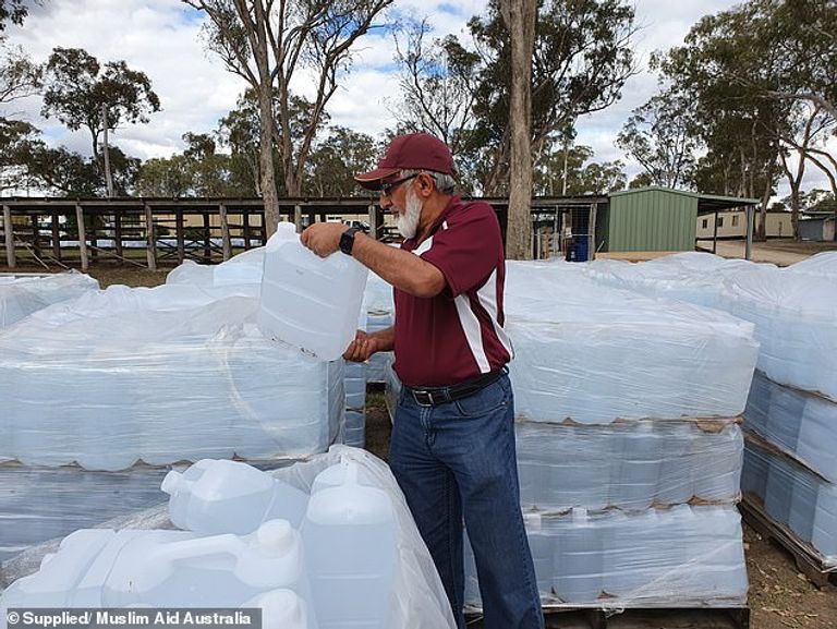 الحيوانات تموت من الجوع والعطش في مدينة ستانثورب- أرشيفية