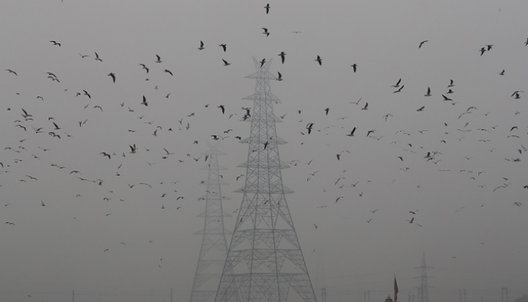 الرياح تخفف التلوث بعض الشيء في العاصمة الهندية