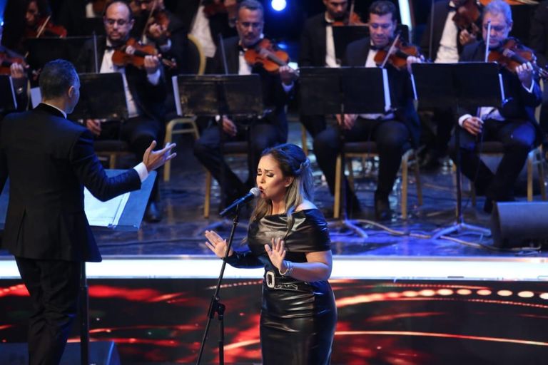 الفنان هاني شاكر