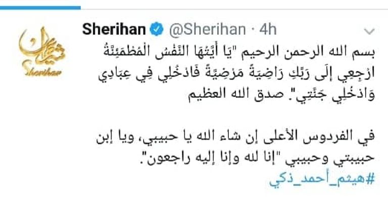 الفنان هيثم أحمد زكي