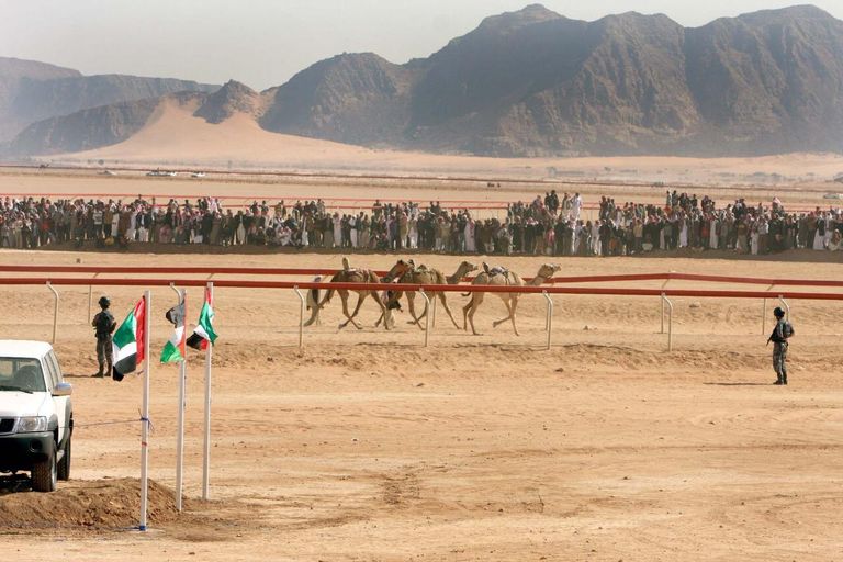 سباقات الهجن
