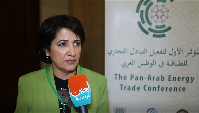 السفيرة جميلة مطر - مدير إدارة الطاقة بالجامعة العربية  جامعة الدول العربية - أرشيفية