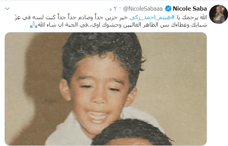 هيثم أحمد زكي 