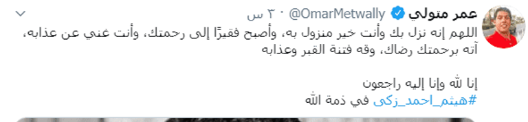 هيثم أحمد زكي 