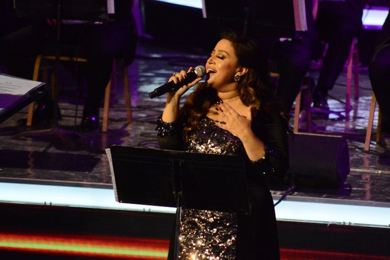 الفنان علي الحجار بمهرجان الموسيقى العربية