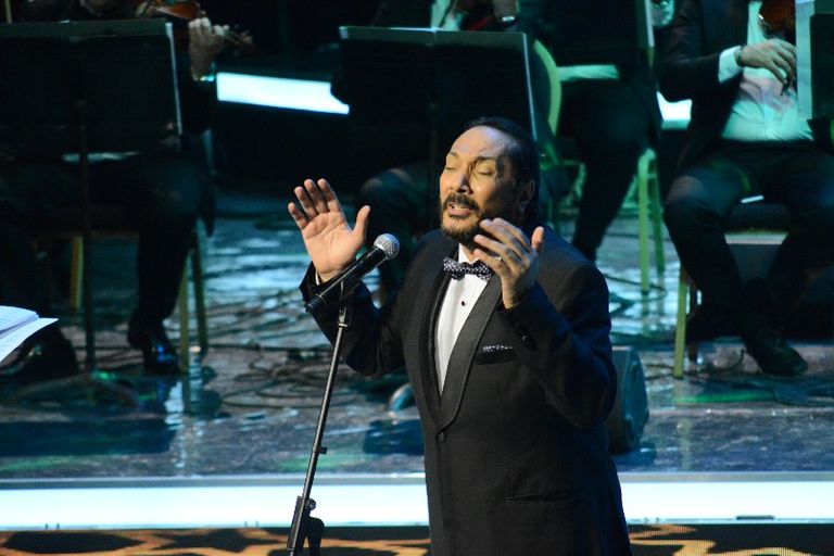 الفنان علي الحجار بمهرجان الموسيقى العربية