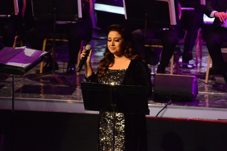 الفنان علي الحجار بمهرجان الموسيقى العربية