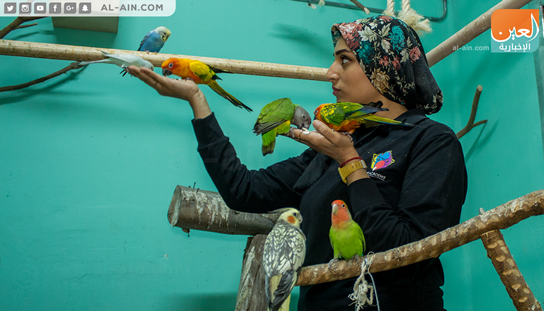 ندى عبدالله