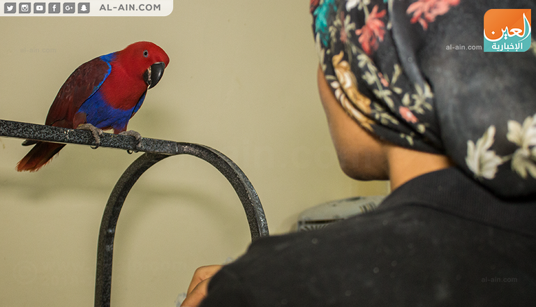 ندى عبدالله