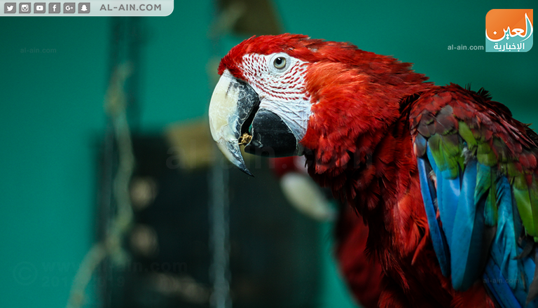 ندى عبدالله