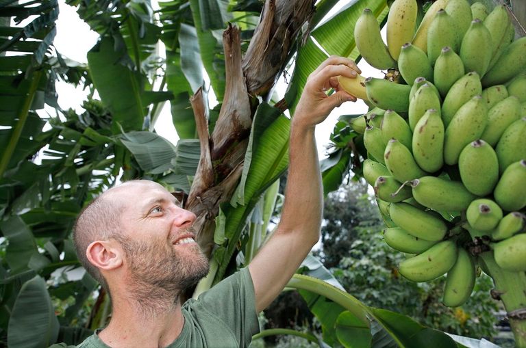 الناشط البيئي الأمريكي روب جرينفيلد