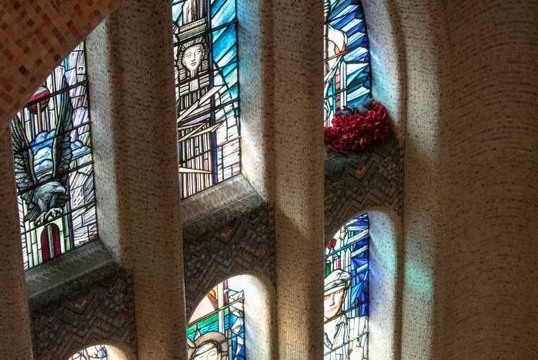 الحمامة تبني العش من زهور الخشخاش