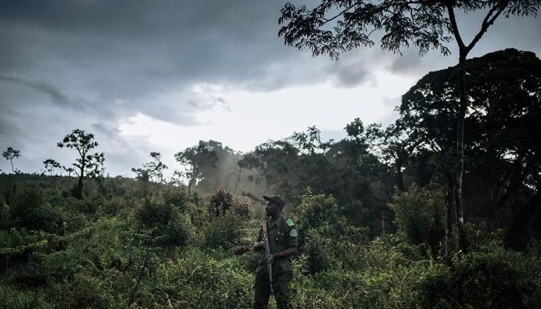 جندي تابع للجيش خلال عملية شرقي الكونغو الديمقراطية