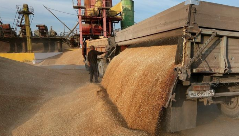 احتياطي مصر من القمح يكفي حتى مارس المقبل