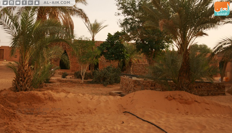 جانب من فعاليات المهرجان