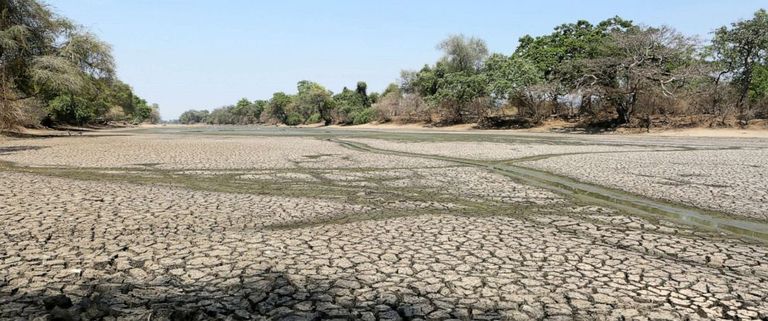 الجفاف كان سببا في عملية النقل - أرشيفية