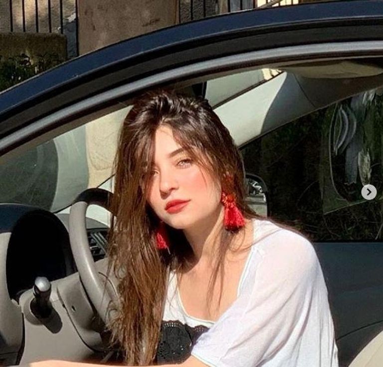 تامر عاشور ودارين حلمي