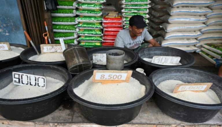 الأرز يشكل أساس التغذية في إندونيسيا