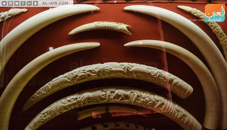 قلعة موسى جنوب لبنان