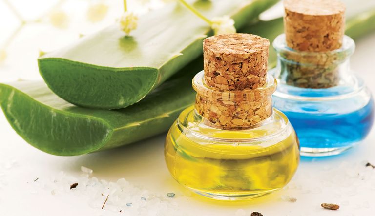 زيت الصبار للتخلص من القشرة نصائح للتخلص من قشرة الشعر
