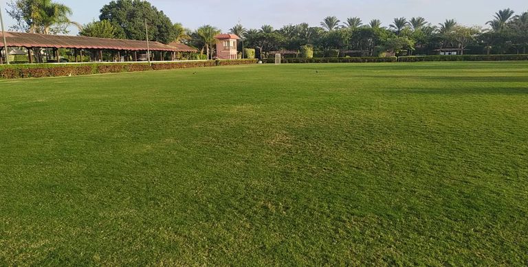 ملعب تدريب منتخب مصر