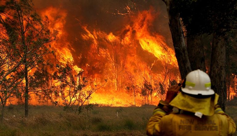 حرائق غابات أستراليا دمرت 300 منزل