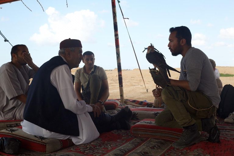 العشرات من مربّي الصقور شاركوا في الاحتفال