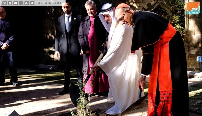 غرس شجرة الغاف في كاتدرائية برشلونة