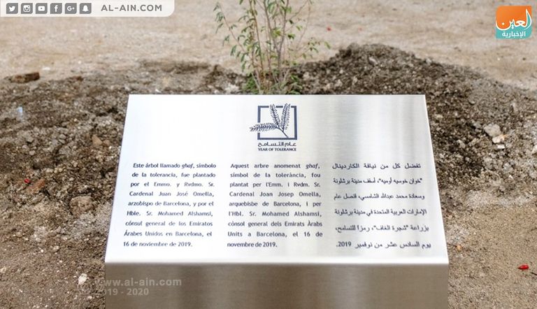غرس شجرة الغاف في كاتدرائية برشلونة