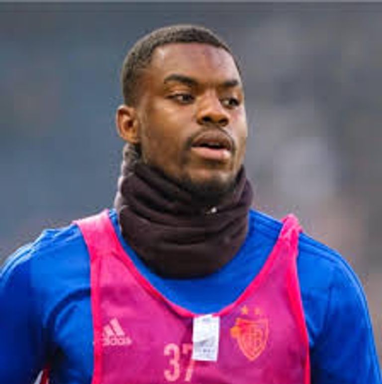 أفيميكو بولولو رينيه فايلر