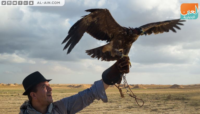 شعبان الحبوني أقدم صقاري مصر