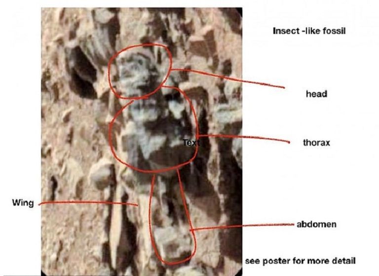 الحياة على الكوكب الأحمر محط بحث علماء الفلك - أرشيفية