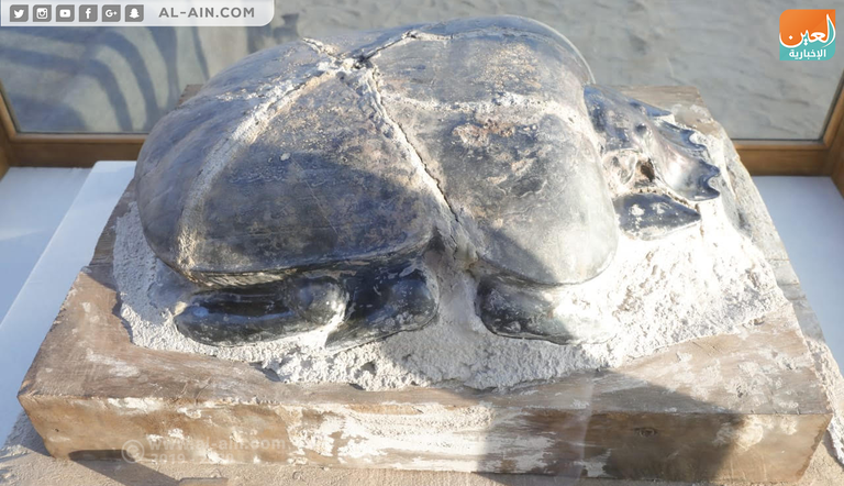 بعض مقتنيات الخبيئة