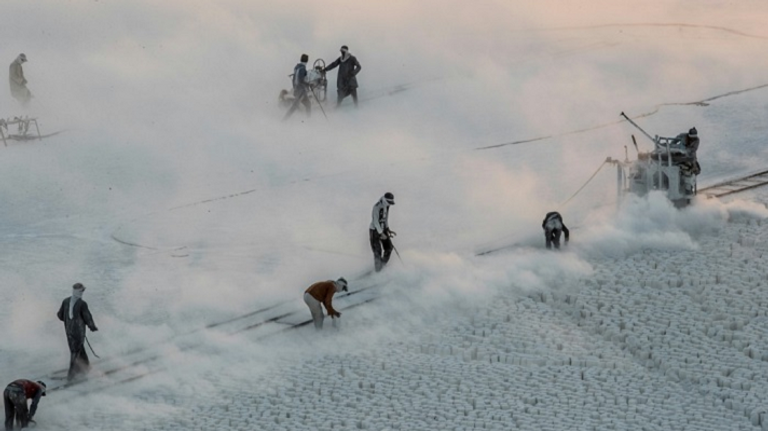 عمال المحاجر يباشرون عملهم في صعيد مصر