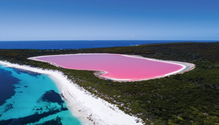 البحيرة الوردية في أستراليا