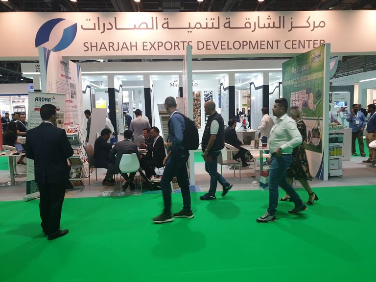 انطلاق فعاليات معرض "الخمسة الكبار" في دبي