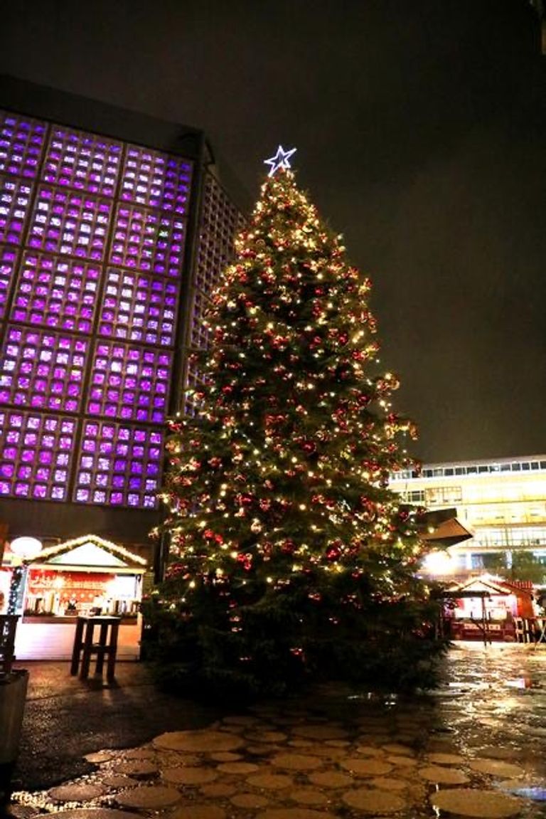 أجواء احتفالية بسوق عيد الميلاد الملاصق للكنيسة التذكارية في برلين