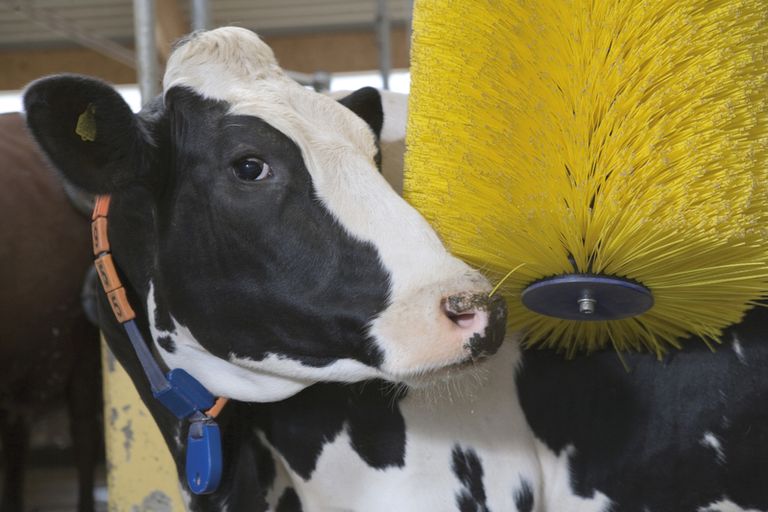 النظارات تهدف إلى القضاء على كآبة الشتاء