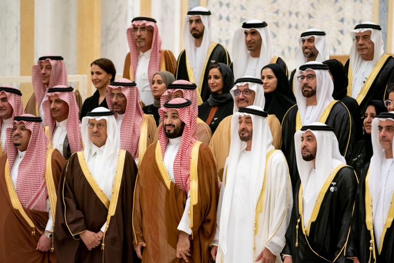 الشيخ محمد بن زايد آل نهيان والأمير محمد بن سلمان