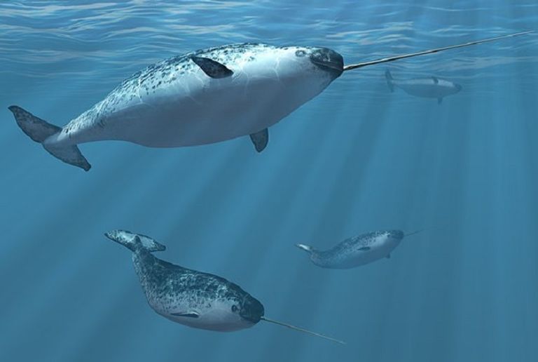 مارة شجعان يحاصرون إرهابي لندن