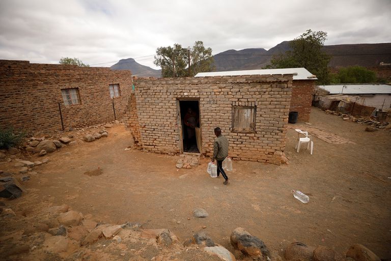 المراعي نضبت نتيجة الجفاف وصارت الحيوانات والماشية تتبارى للفوزبالغذاء