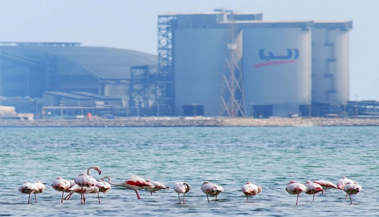 ألبا البحرينية تملك أحد أكبر مصاهر الألومنيوم في العالم