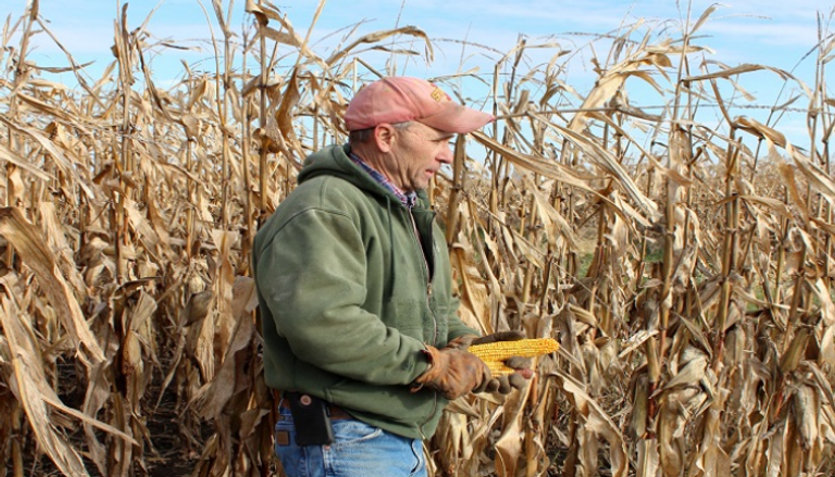 الأمريكي دون سوانسون مزارع الذرة وفول الصويا - رويترز