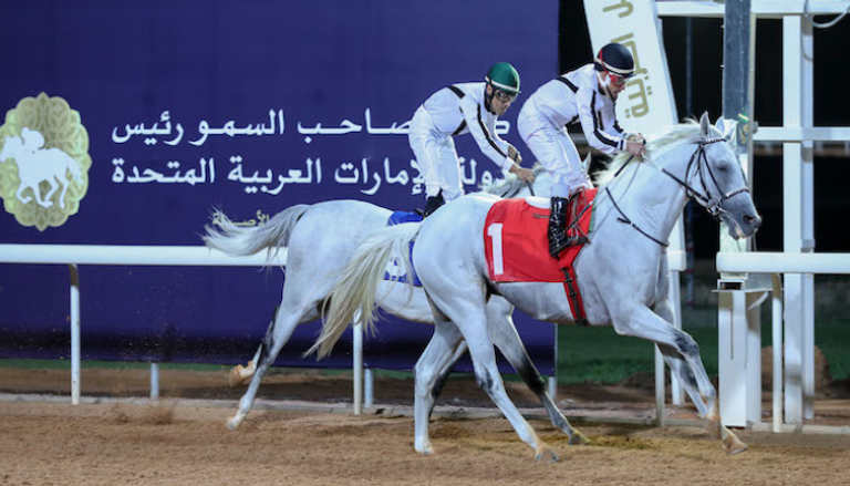 من سباقات كأس رئيس الإمارات للخيول
