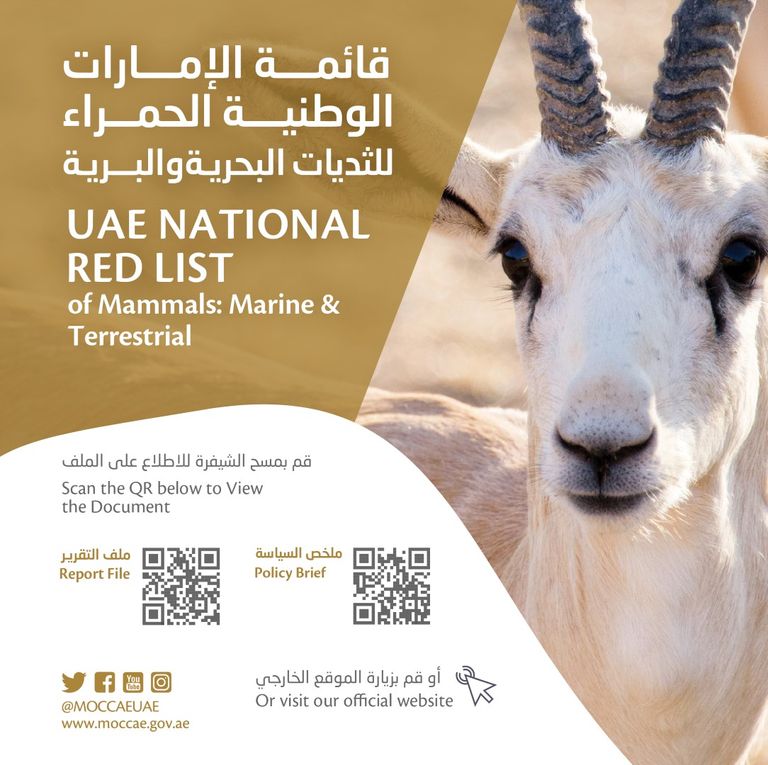 الطهر العربي هو النوع الوحيد المتوطن في الإمارات من الثدييات