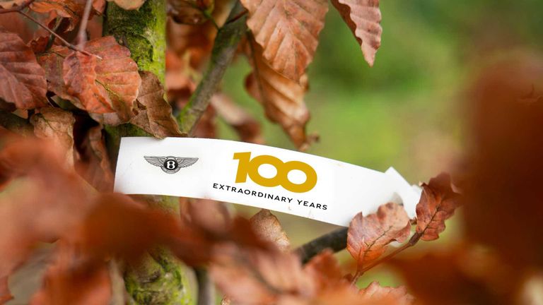 إحدى شجرات "بينتلي" الـ100