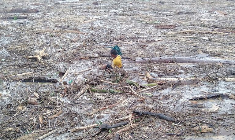 انزلاقات التربة قطعت الطرق إلى بعض البلدات المعزولة