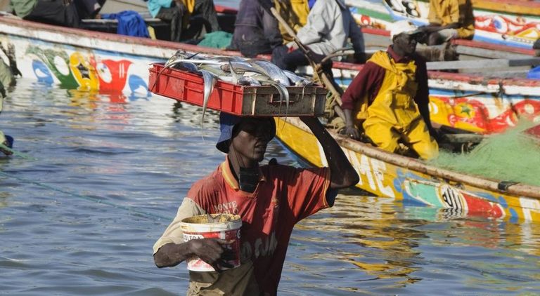 سفن الصيد التركية تهدد البيئة البحرية الموريتانية