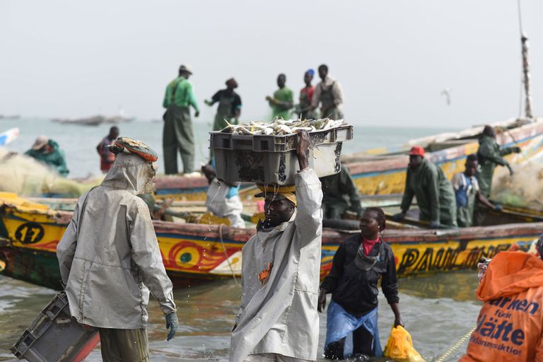 سفن الصيد التركية تهدد البيئة البحرية الموريتانية